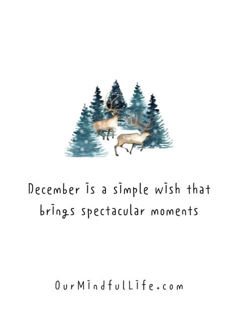 Embracing the Festive Spirit: Making December Truly Magical